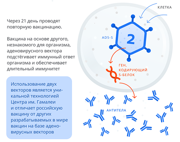 Вакцина против коронавирусной инфекции
